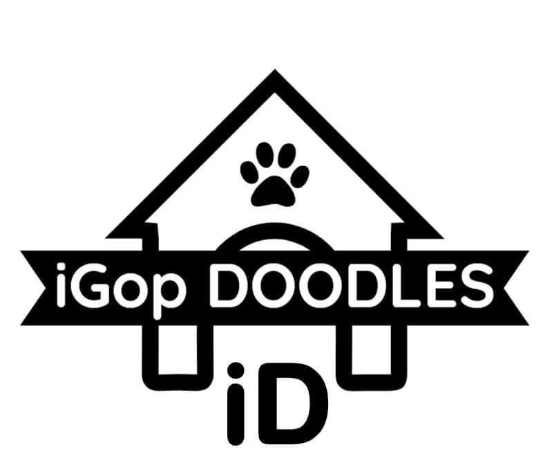 IGOP DOODLES