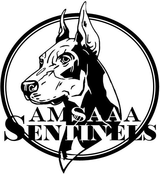 AMSAAA Sentinels