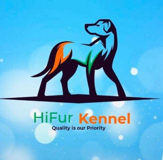 Hi-Fur Kennel