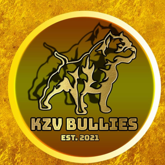 KZV Bullies