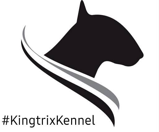 KINGTRIX KENNEL