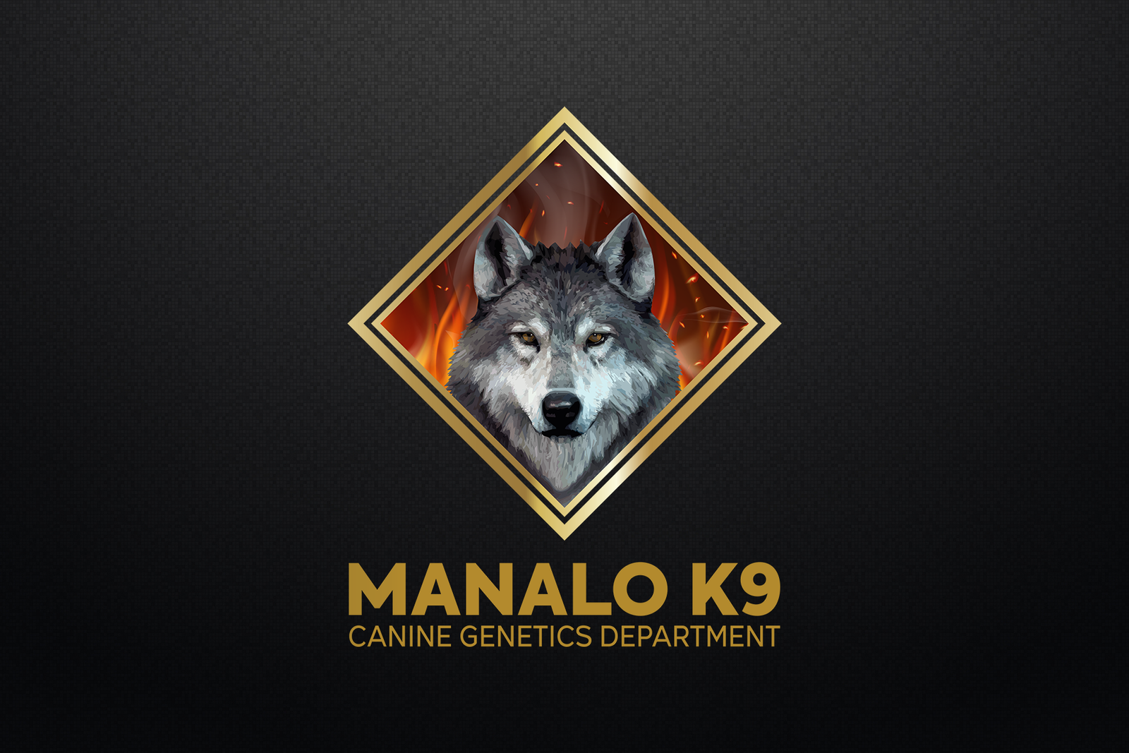 MANALO K9