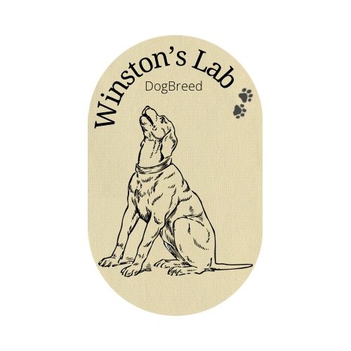 Winston’s Lab DogBreed