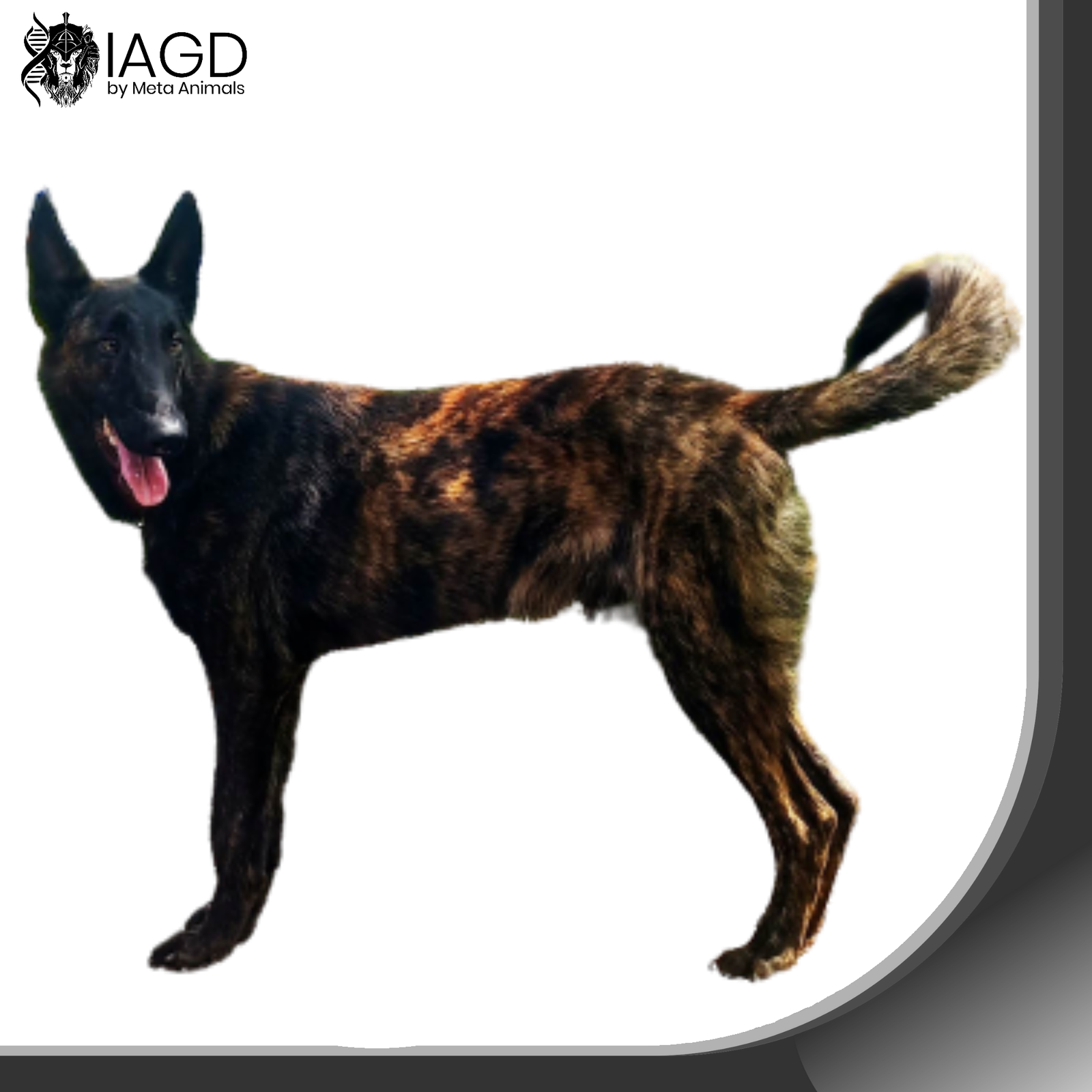 augost 6 personality