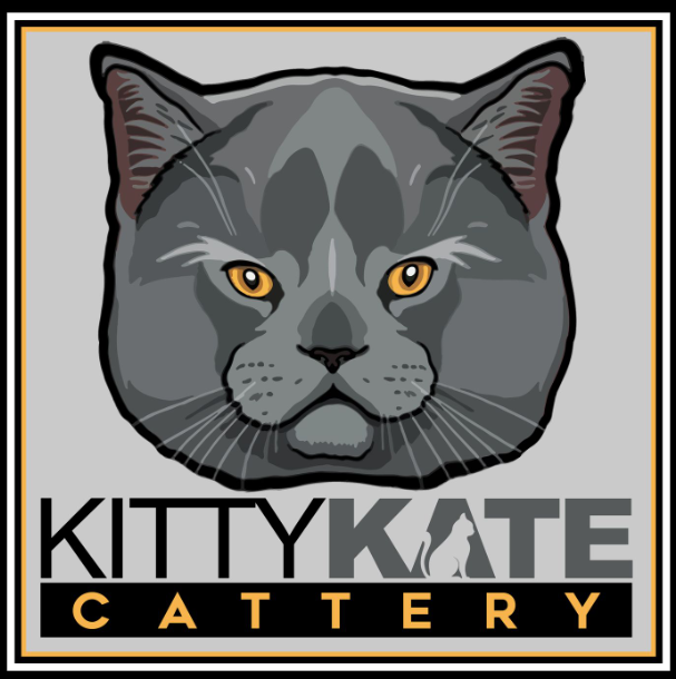 Kitty Kate Cattery