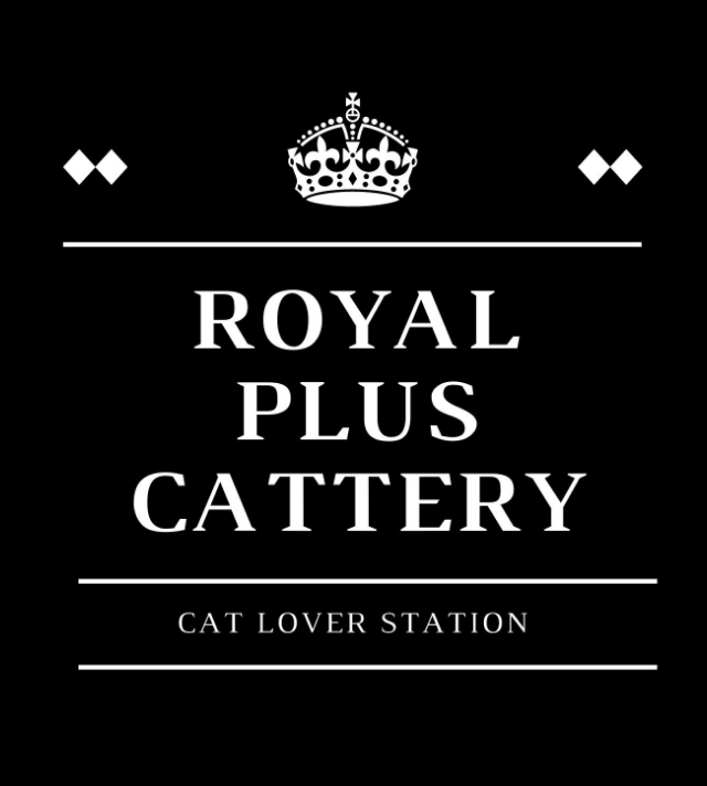 ROYAL PLUS CATTERY