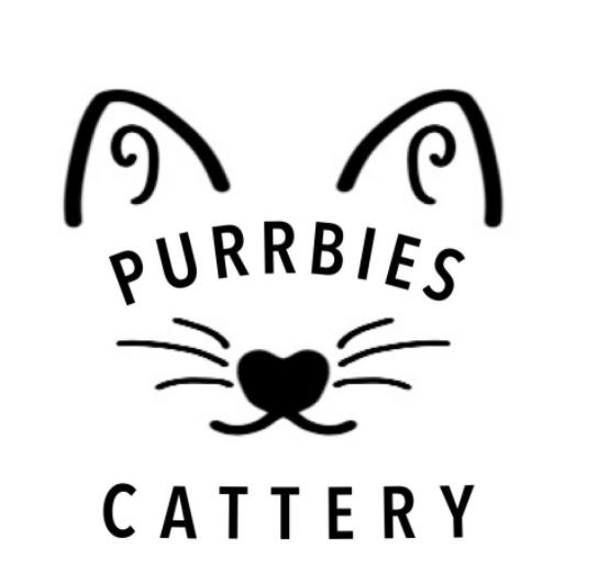 PURRBIES CATTERY