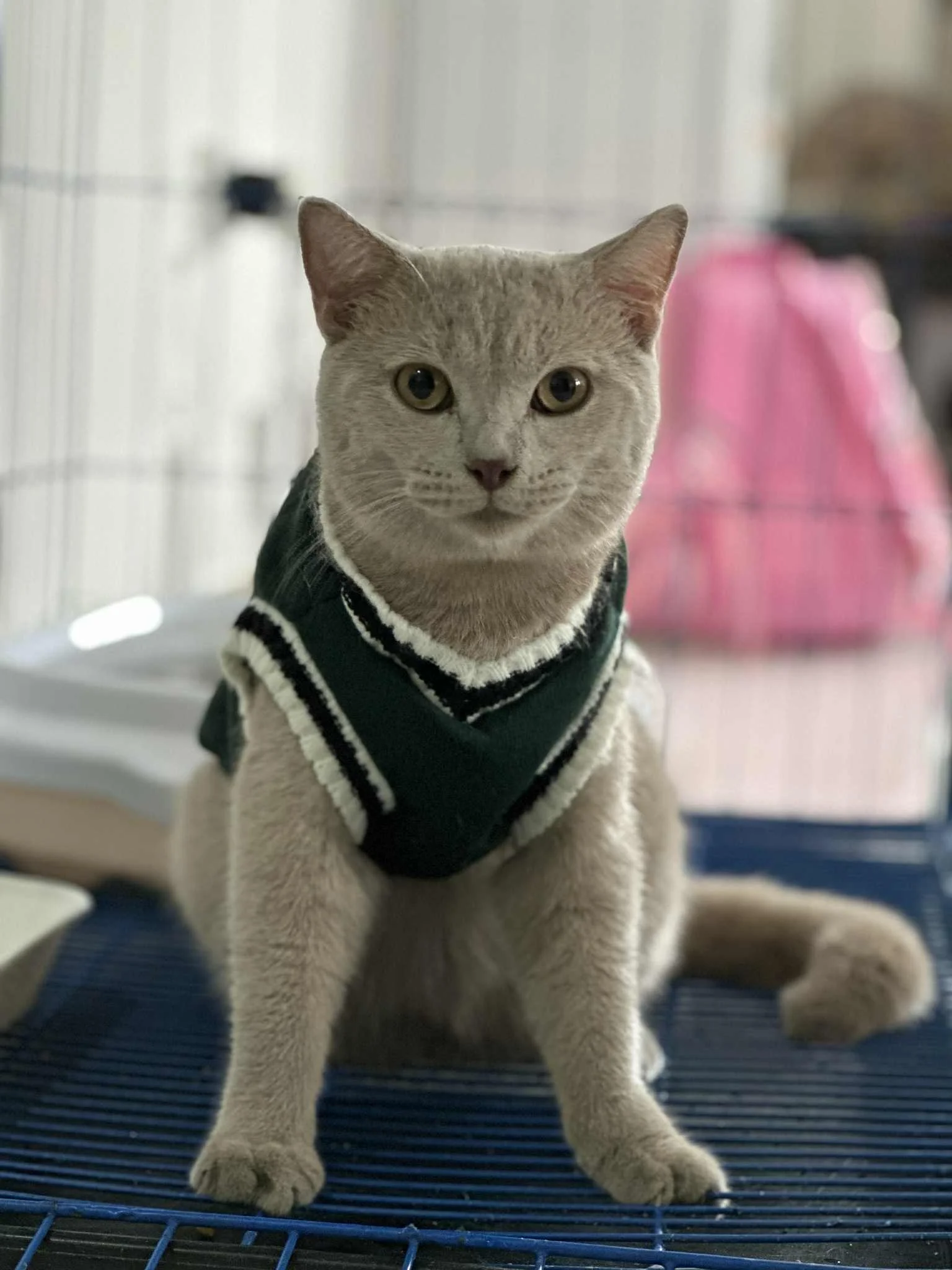Dior's Cute Photo